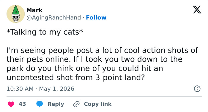 55 Funny Tweets That Confirm Cats Are Equal Parts Adorable, Weird, And Emotionally Manipulative