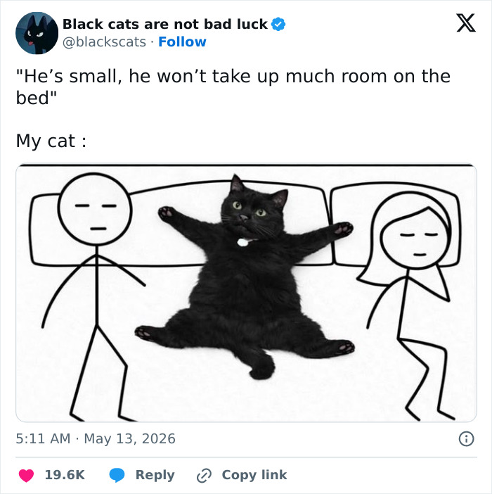 55 Funny Tweets That Confirm Cats Are Equal Parts Adorable, Weird, And Emotionally Manipulative