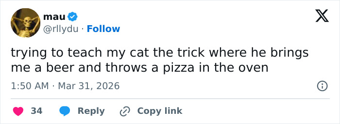 55 Funny Tweets That Confirm Cats Are Equal Parts Adorable, Weird, And Emotionally Manipulative