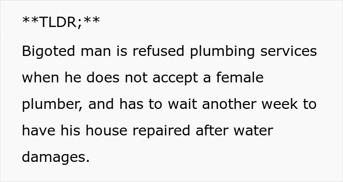 Company Finds Out A Year Later Their Revenge On A Guy Who Made Their Woman Plumber Cry Was A Success