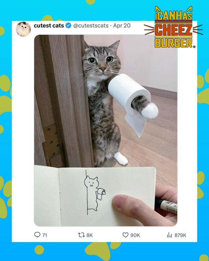 41 Of The Funniest And Cutest Cat Posts Shared By This Page (New Pics)