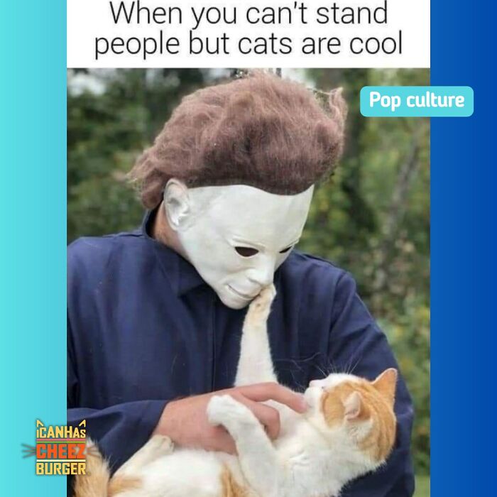 41 Of The Funniest And Cutest Cat Posts Shared By This Page (New Pics)