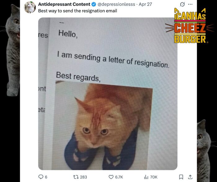 41 Of The Funniest And Cutest Cat Posts Shared By This Page (New Pics)