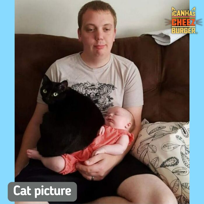 41 Of The Funniest And Cutest Cat Posts Shared By This Page (New Pics)