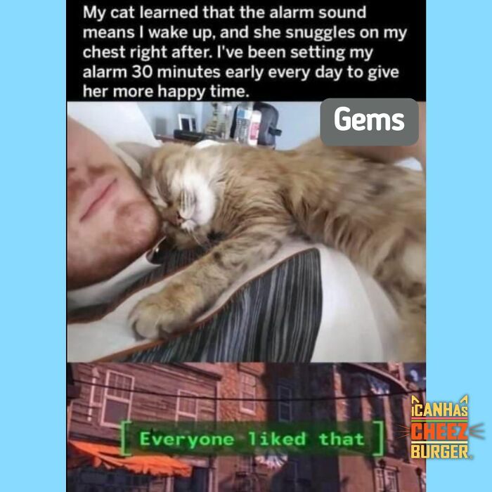 41 Of The Funniest And Cutest Cat Posts Shared By This Page (New Pics)
