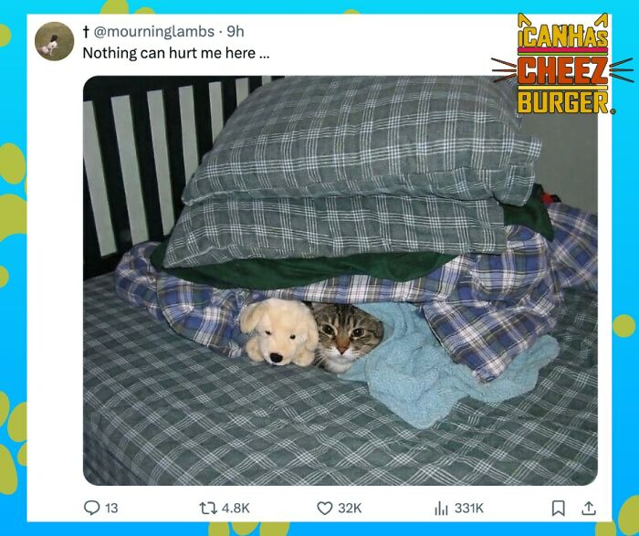 41 Of The Funniest And Cutest Cat Posts Shared By This Page (New Pics)