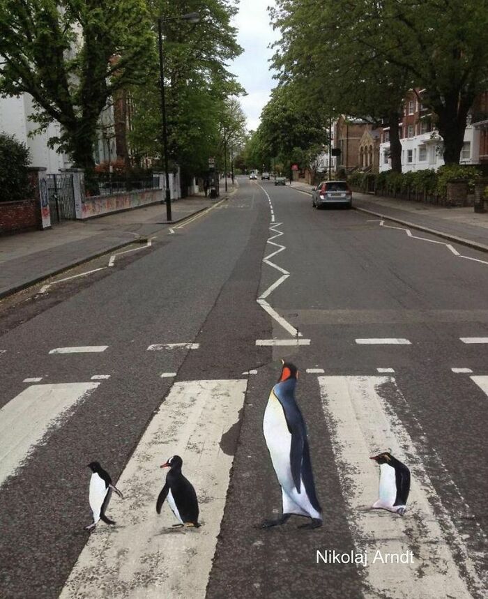 This Artist Turns Ordinary Streets Into Deep Holes, Oceans, And Wild Illusions (75 Pics)