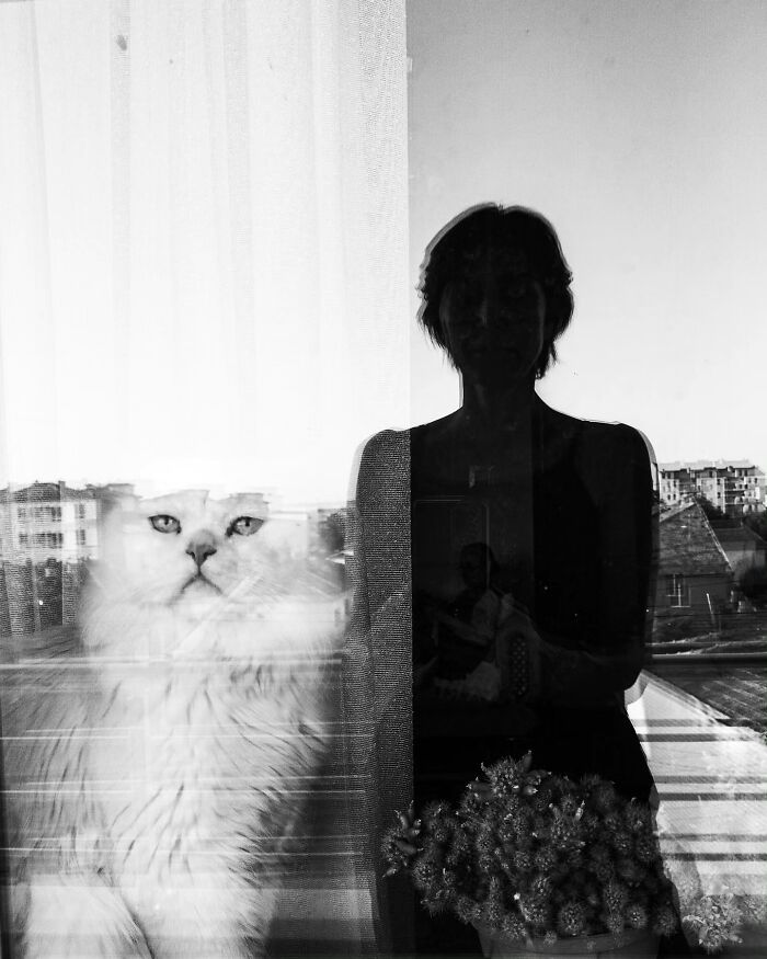 This Turkish Photographer Captures Street Cats In Perfectly Timed Moments (29 Pics)