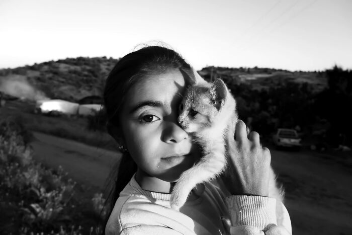 This Turkish Photographer Captures Street Cats In Perfectly Timed Moments (29 Pics)