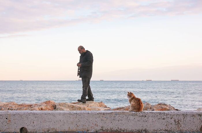 This Turkish Photographer Captures Street Cats In Perfectly Timed Moments (29 Pics)