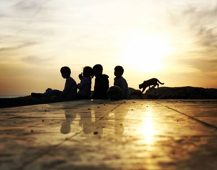 This Turkish Photographer Captures Street Cats In Perfectly Timed Moments (29 Pics)