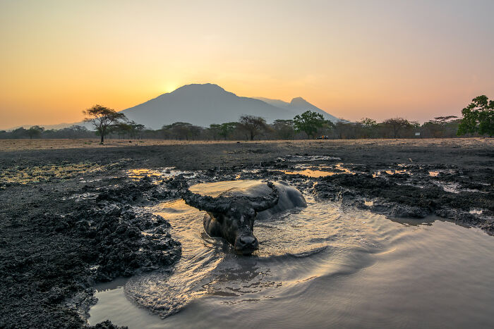 61 Stunning Views That Feel Like They Belong In Completely Different Parts Of The World