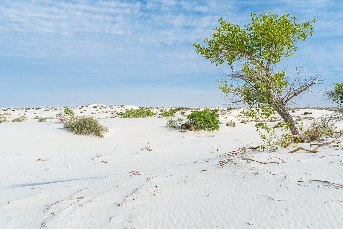 61 Stunning Views That Feel Like They Belong In Completely Different Parts Of The World