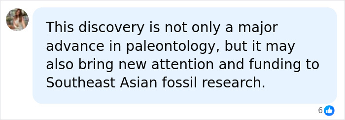 Giant Dinosaur Skeleton Found In Thailand, The Nagatitan, May Be The Largest Dinosaur Of The Region Giant Dinosaur Skeleton Found In Thailand, The Nagatitan, May Be The Largest Dinosaur Of The Region