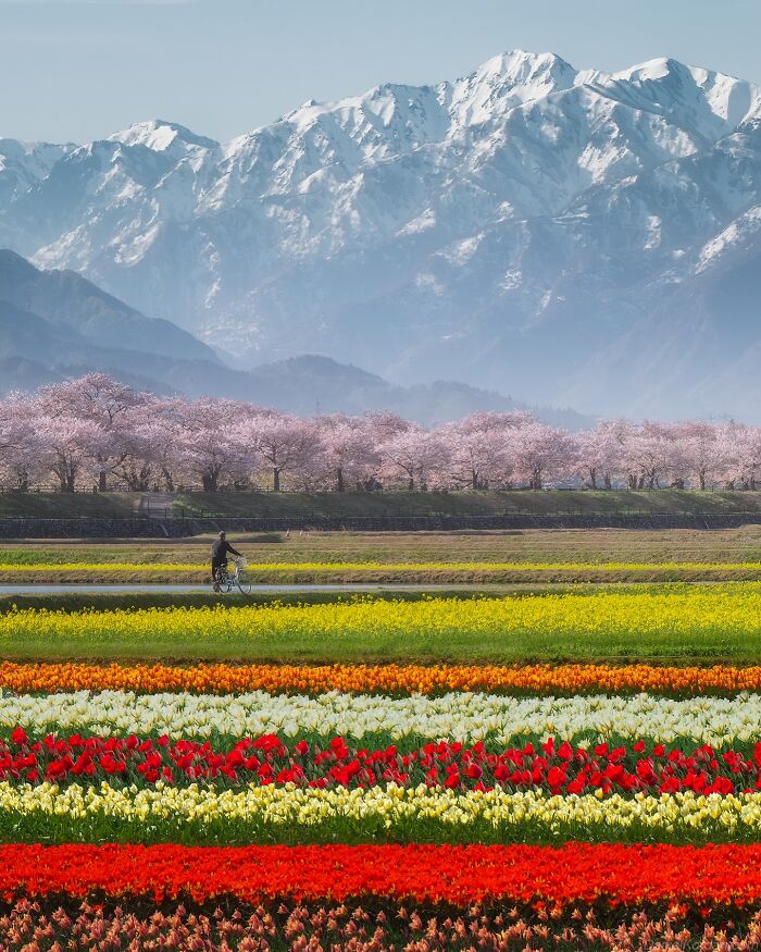 42 Stunning Photos Of Japan’s Landscapes And Colorful Seasons By Daniel Kordan