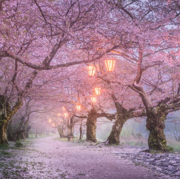 42 Stunning Photos Of Japan’s Landscapes And Colorful Seasons By Daniel Kordan