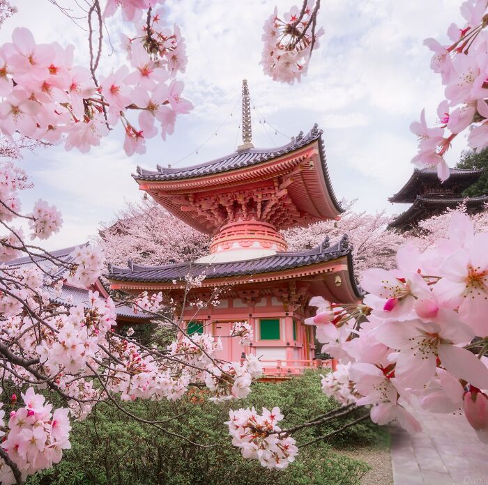 42 Stunning Photos Of Japan’s Landscapes And Colorful Seasons By Daniel Kordan