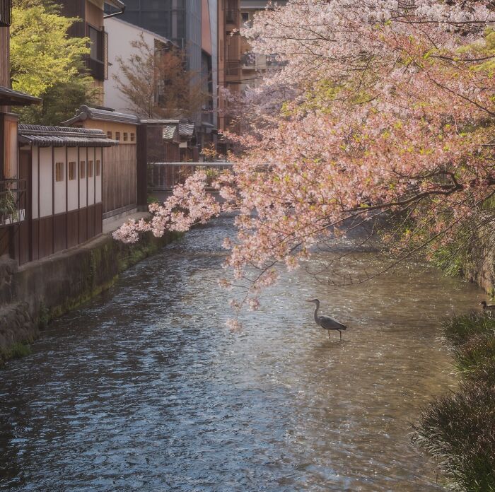 42 Stunning Photos Of Japan’s Landscapes And Colorful Seasons By Daniel Kordan