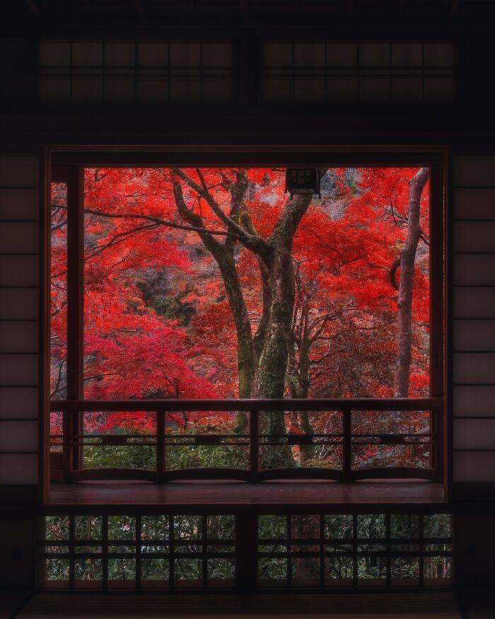42 Stunning Photos Of Japan’s Landscapes And Colorful Seasons By Daniel Kordan