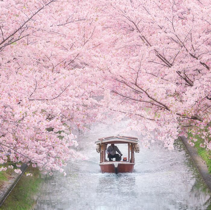 42 Stunning Photos Of Japan’s Landscapes And Colorful Seasons By Daniel Kordan