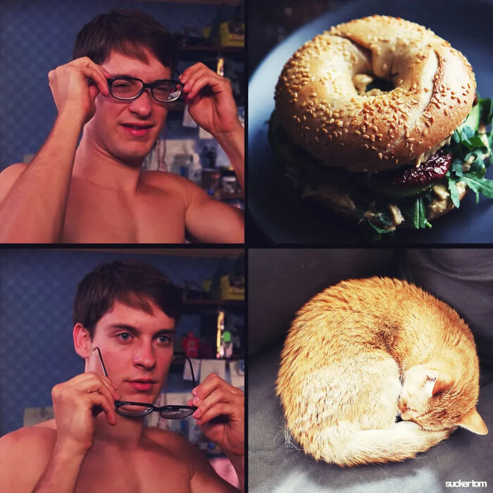 31 New Ridiculous Edits By &ldquo;Suckertom&rdquo; That Turn Pop Culture Into Beautiful Nonsense