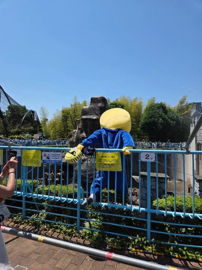 American Tourists Put Behind Bars For Entering Punch The Monkey’s Enclosure Wearing Emoji Costumes