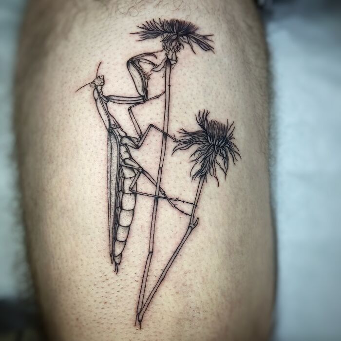 73 Nature-Inspired Tattoos That Reflect The Creativity Of Our Artists At Sacred Gold Tattoo Studio