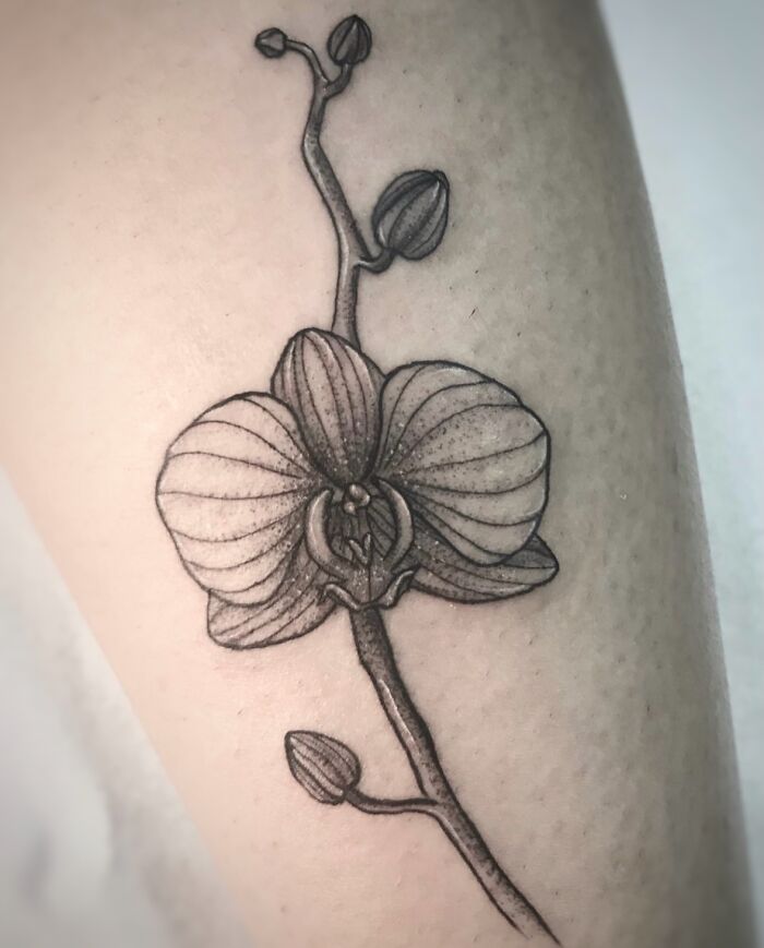73 Nature-Inspired Tattoos That Reflect The Creativity Of Our Artists At Sacred Gold Tattoo Studio