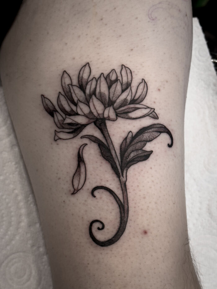 73 Nature-Inspired Tattoos That Reflect The Creativity Of Our Artists At Sacred Gold Tattoo Studio