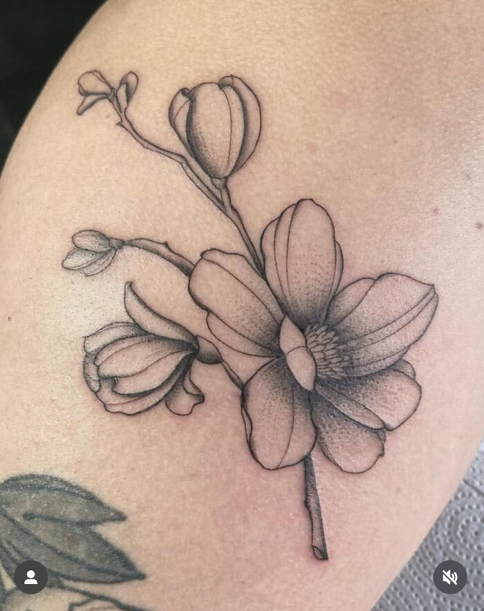 73 Nature-Inspired Tattoos That Reflect The Creativity Of Our Artists At Sacred Gold Tattoo Studio