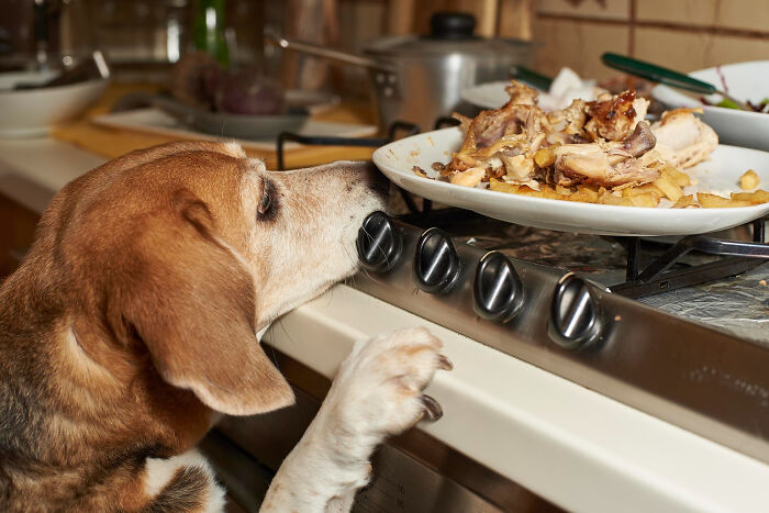45 Unexpected Disasters That Happened When Someone Left The Room For A Few Minutes