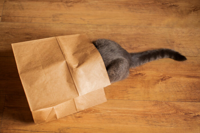 45 Unexpected Disasters That Happened When Someone Left The Room For A Few Minutes