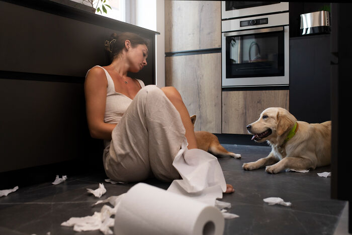 45 Unexpected Disasters That Happened When Someone Left The Room For A Few Minutes