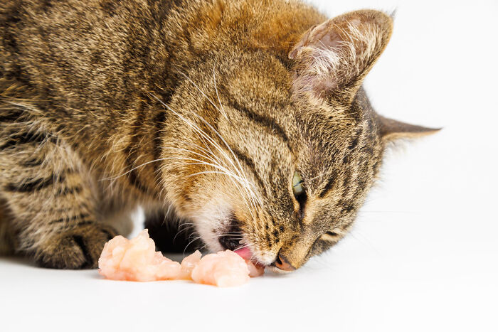 45 Unexpected Disasters That Happened When Someone Left The Room For A Few Minutes