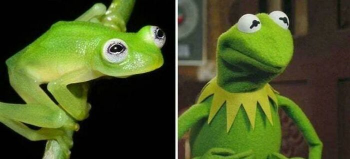 It’s Never Too Late To Learn, So Here Are 77 Curiosities That Make People Say, “Can’t Believe That’s Real” (New Pics) It’s Never Too Late To Learn, So Here Are 77 Curiosities That Make People Say, “Can’t Believe That’s Real” (New Pics)