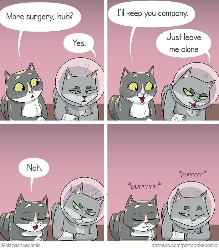 27 Of The Funniest And Most Relatable PizzaCake Comics By Ellen Woodbury (New Pics) 27 Of The Funniest And Most Relatable PizzaCake Comics By Ellen Woodbury (New Pics)