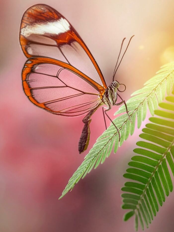 This Page Shared Macro Shots That Reveal The Strange And Stunning Details Of Flowers And Insects (55 Pics) This Page Shared Macro Shots That Reveal The Strange And Stunning Details Of Flowers And Insects (55 Pics)
