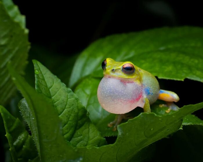 This Page Shared Macro Shots That Reveal The Strange And Stunning Details Of Flowers And Insects (55 Pics) This Page Shared Macro Shots That Reveal The Strange And Stunning Details Of Flowers And Insects (55 Pics)