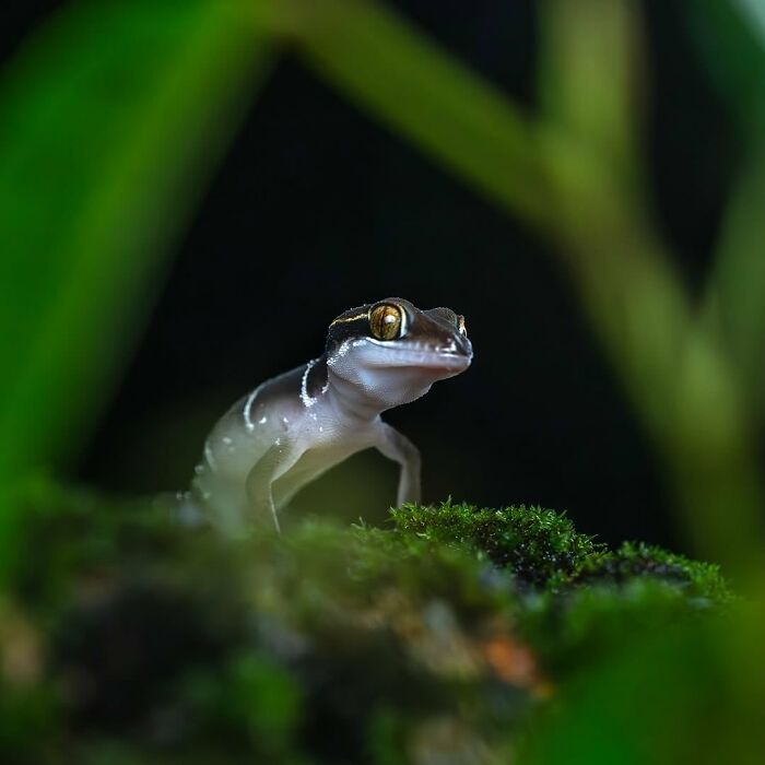 This Page Shared Macro Shots That Reveal The Strange And Stunning Details Of Flowers And Insects (55 Pics) This Page Shared Macro Shots That Reveal The Strange And Stunning Details Of Flowers And Insects (55 Pics)