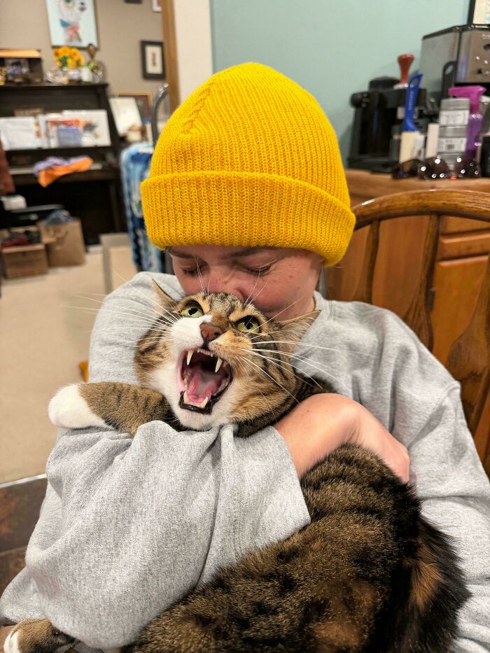 75 Funny Pics Of The Most Adorable Felines Yelling Away To Get Your Attention