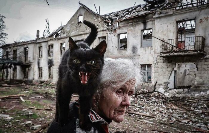 75 Funny Pics Of The Most Adorable Felines Yelling Away To Get Your Attention