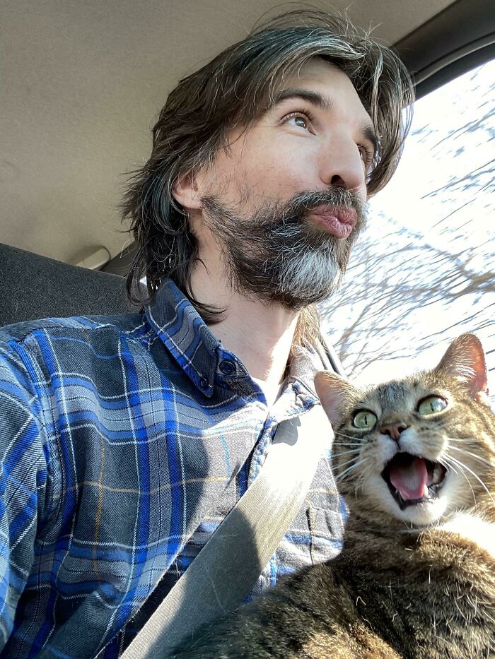 75 Funny Pics Of The Most Adorable Felines Yelling Away To Get Your Attention