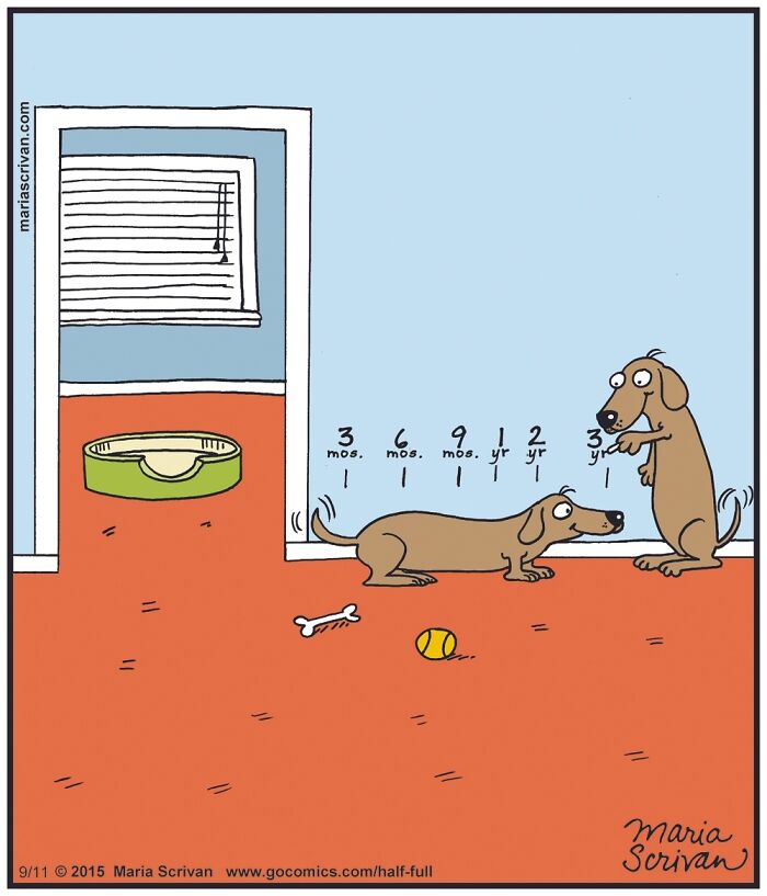 The 65 Best Comics That Prove Absurd Humor Is The Best Kind Of Humor By Maria Scrivan