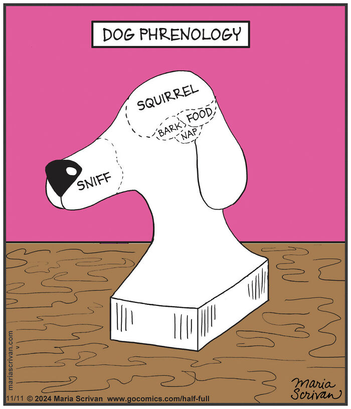 The 65 Best Comics That Prove Absurd Humor Is The Best Kind Of Humor By Maria Scrivan