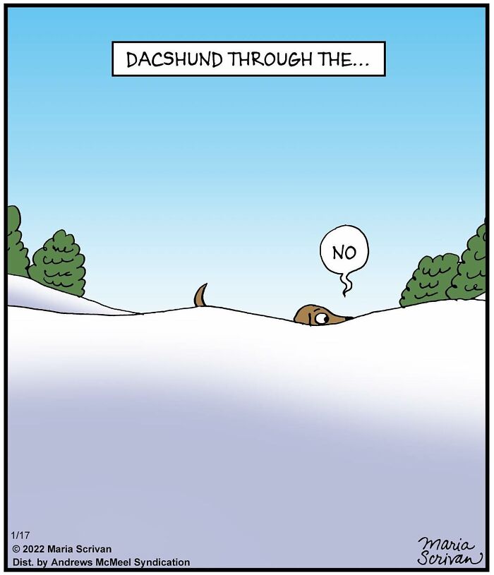 The 65 Best Comics That Prove Absurd Humor Is The Best Kind Of Humor By Maria Scrivan