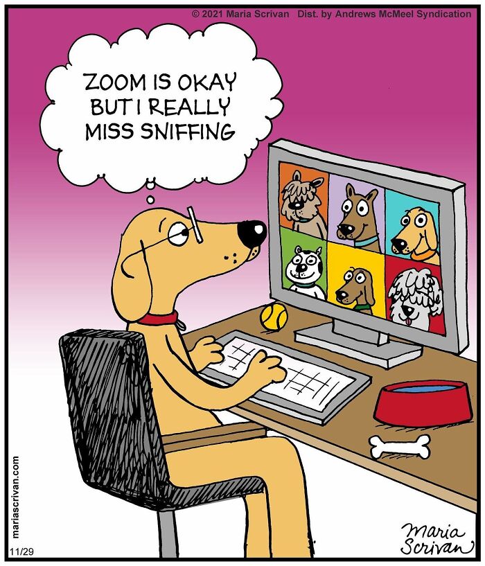 The 65 Best Comics That Prove Absurd Humor Is The Best Kind Of Humor By Maria Scrivan