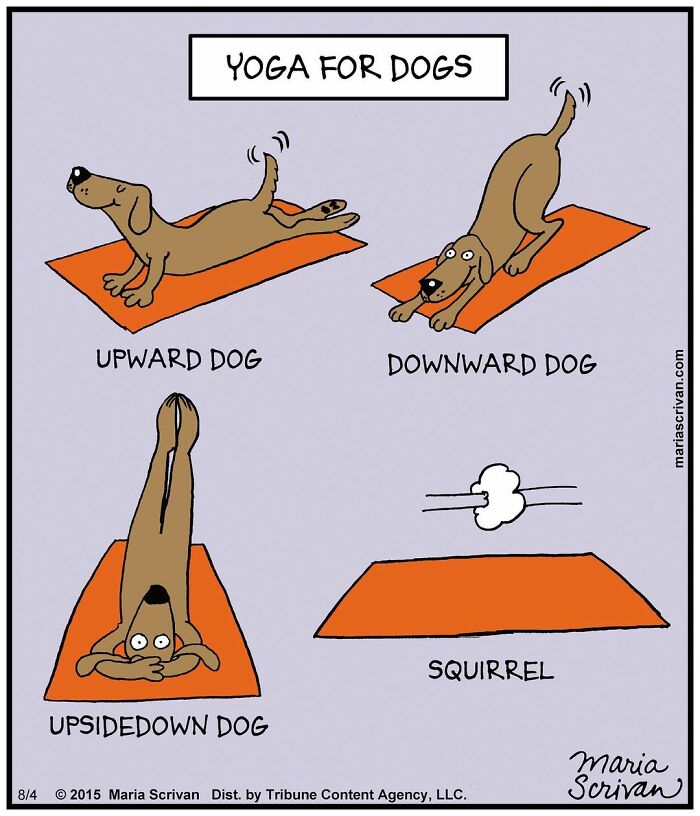 The 65 Best Comics That Prove Absurd Humor Is The Best Kind Of Humor By Maria Scrivan