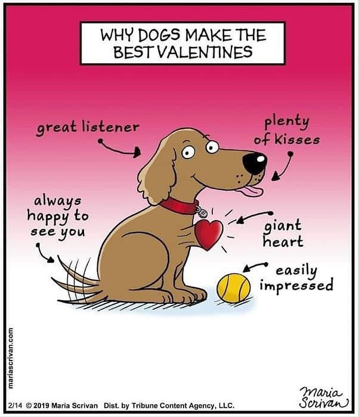 The 65 Best Comics That Prove Absurd Humor Is The Best Kind Of Humor By Maria Scrivan