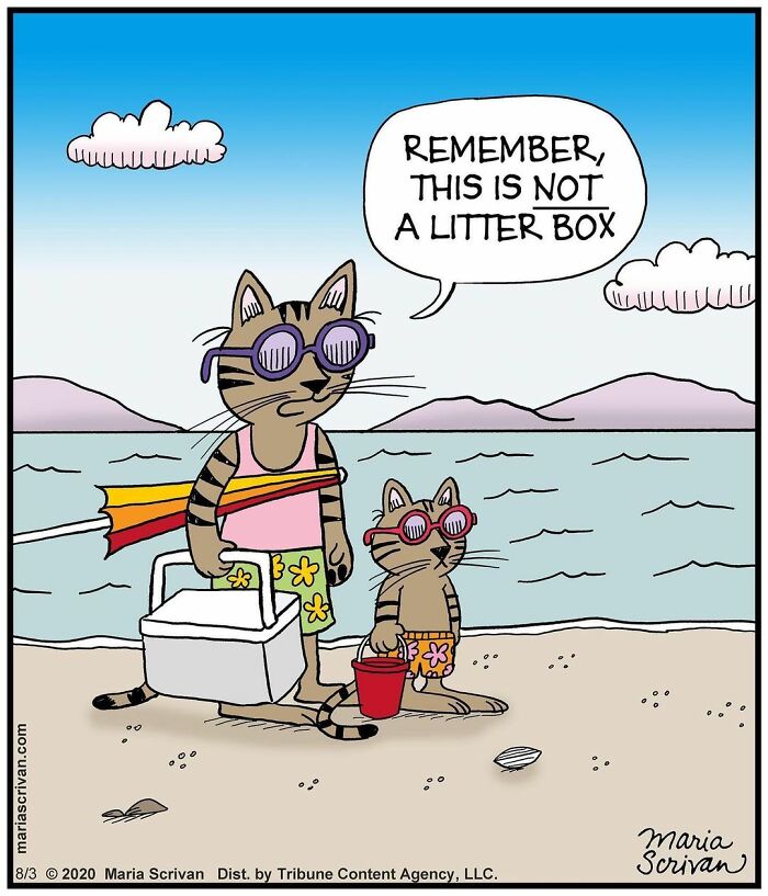 The 65 Best Comics That Prove Absurd Humor Is The Best Kind Of Humor By Maria Scrivan