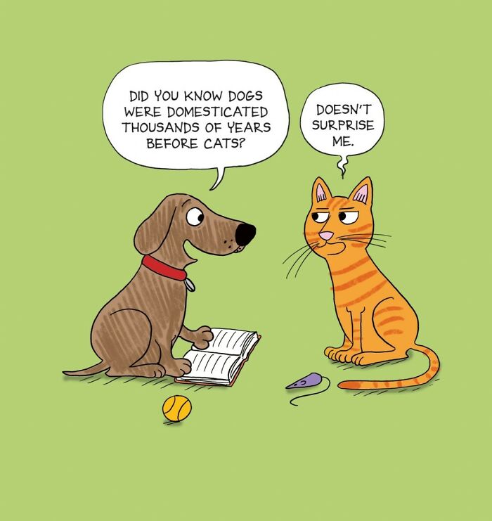 The 65 Best Comics That Prove Absurd Humor Is The Best Kind Of Humor By Maria Scrivan